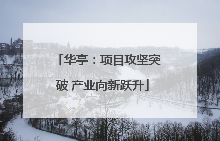 华亭：项目攻坚突破 产业向新跃升