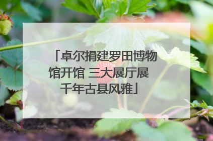 卓尔捐建罗田博物馆开馆 三大展厅展千年古县风雅