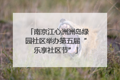 南京江心洲洲岛绿园社区举办第五届“乐享社区节”