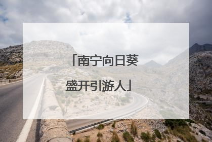 南宁向日葵盛开引游人