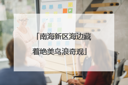南海新区海边藏着绝美鸟浪奇观