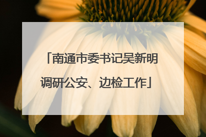 南通市委书记吴新明调研公安、边检工作