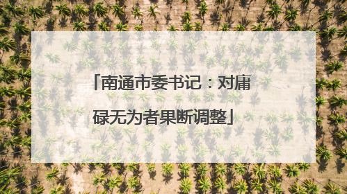 南通市委书记：对庸碌无为者果断调整