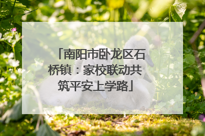 南阳市卧龙区石桥镇：家校联动共筑平安上学路