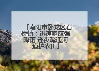 南阳市卧龙区石桥镇：迅速响应强降雨 连夜疏通河道护农田