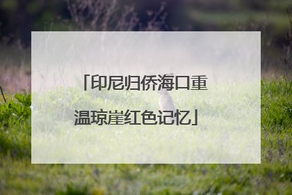印尼归侨海口重温琼崖红色记忆