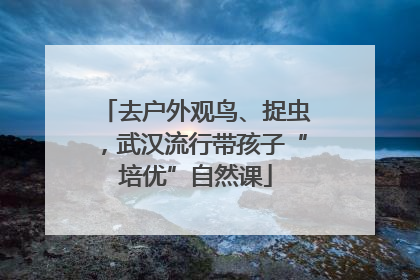 去户外观鸟、捉虫，武汉流行带孩子“培优”自然课