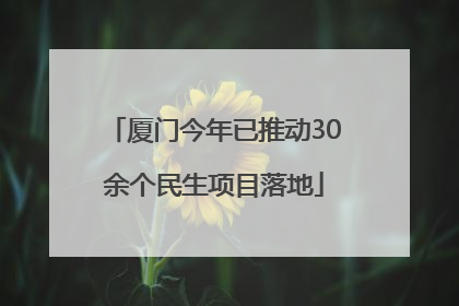 厦门今年已推动30余个民生项目落地
