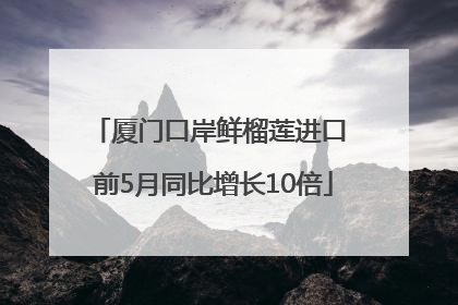 厦门口岸鲜榴莲进口 前5月同比增长10倍