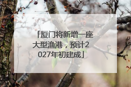 厦门将新增一座大型渔港，预计2027年初建成