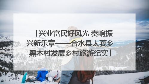 兴业富民好风光 奏响振兴新乐章——合水县太莪乡黑木村发展乡村旅游纪实