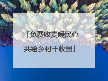 免费收麦暖民心 共绘乡村丰收景