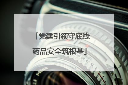 党建引领守底线 药品安全筑根基