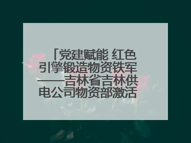 党建赋能 红色引擎锻造物资铁军——吉林省吉林供电公司物资部激活供应链新动能