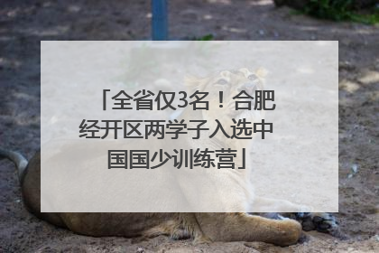 全省仅3名！合肥经开区两学子入选中国国少训练营