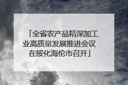 全省农产品精深加工业高质量发展推进会议在绥化海伦市召开