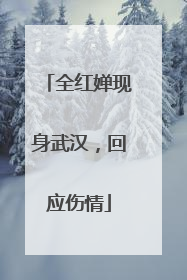 全红婵现身武汉，回应伤情