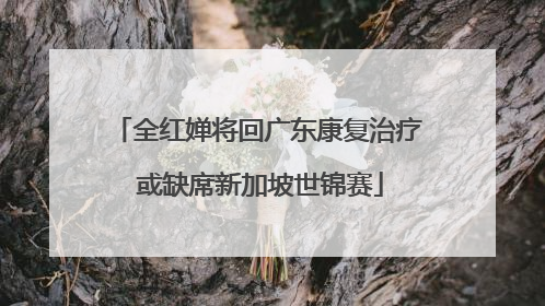 全红婵将回广东康复治疗 或缺席新加坡世锦赛