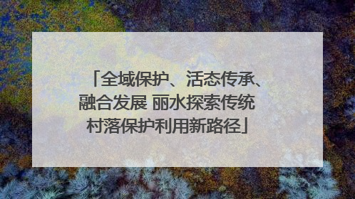 全域保护、活态传承、融合发展 丽水探索传统村落保护利用新路径