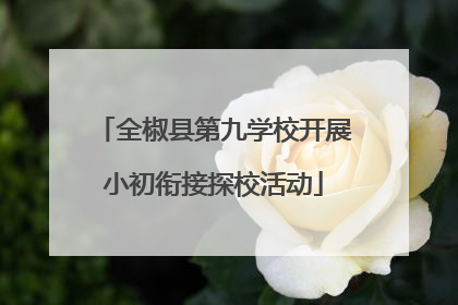 全椒县第九学校开展小初衔接探校活动