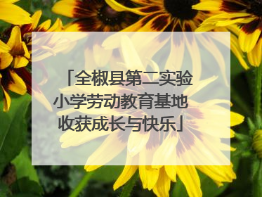 全椒县第二实验小学劳动教育基地收获成长与快乐