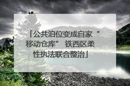 公共泊位变成自家“移动仓库” 铁西区柔性执法联合整治