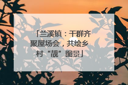 兰溪镇：干群齐聚屋场会，共绘乡村“靓”图景
