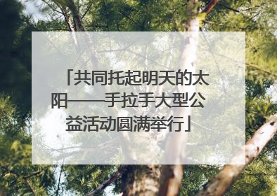 共同托起明天的太阳——手拉手大型公益活动圆满举行