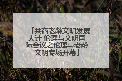 共商老龄文明发展大计 伦理与文明国际会议之伦理与老龄文明专场开幕
