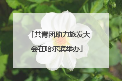 共青团助力旅发大会在哈尔滨举办