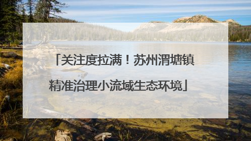 关注度拉满！苏州渭塘镇精准治理小流域生态环境