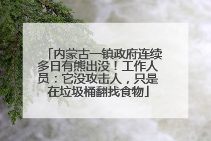 内蒙古一镇政府连续多日有熊出没！工作人员：它没攻击人，只是在垃圾桶翻找食物