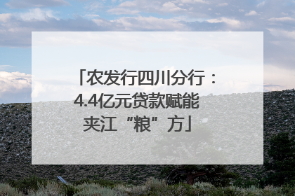 农发行四川分行：4.4亿元贷款赋能夹江“粮”方