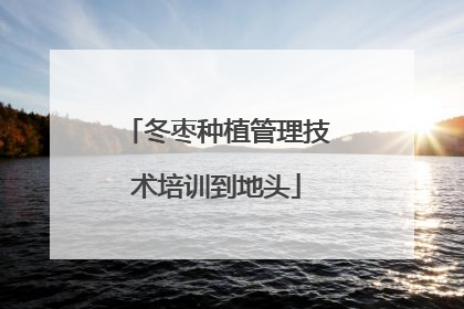 冬枣种植管理技术培训到地头