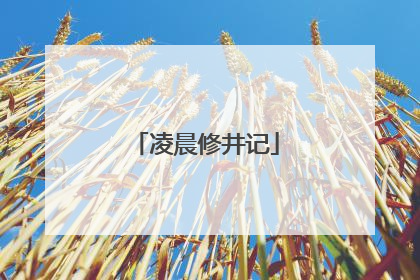 凌晨修井记