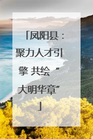 凤阳县：聚力人才引擎 共绘“大明华章”