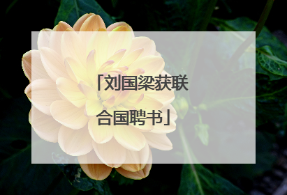 刘国梁获联合国聘书