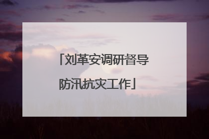刘革安调研督导防汛抗灾工作