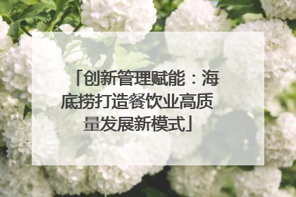创新管理赋能：海底捞打造餐饮业高质量发展新模式