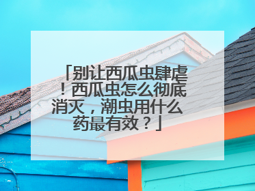 别让西瓜虫肆虐！西瓜虫怎么彻底消灭，潮虫用什么药最有效？