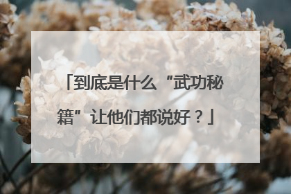 到底是什么“武功秘籍”让他们都说好？