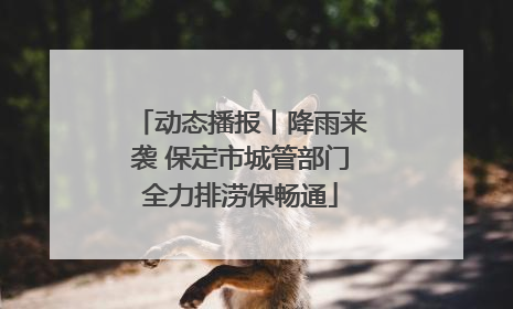 动态播报丨降雨来袭 保定市城管部门全力排涝保畅通
