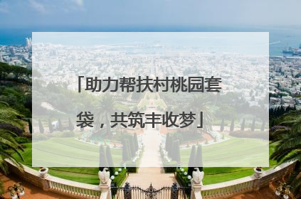 助力帮扶村桃园套袋，共筑丰收梦