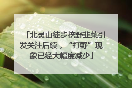 北灵山徒步挖野韭菜引发关注后续，“打野”现象已经大幅度减少