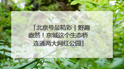 北京号最精彩｜野趣盎然！京城这个生态桥连通两大网红公园