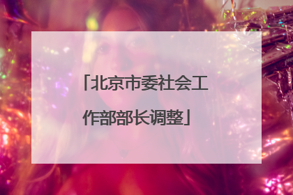 北京市委社会工作部部长调整