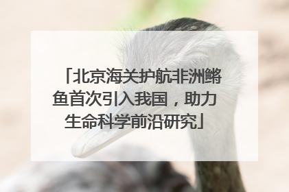 北京海关护航非洲鳉鱼首次引入我国，助力生命科学前沿研究