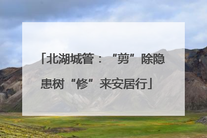 北湖城管：“剪”除隐患树“修”来安居行