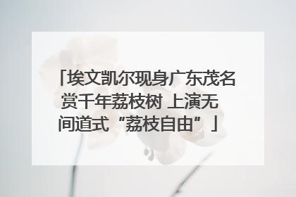 埃文凯尔现身广东茂名 赏千年荔枝树 上演无间道式“荔枝自由”