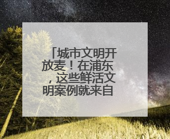 城市文明开放麦！在浦东，这些鲜活文明案例就来自你的身边